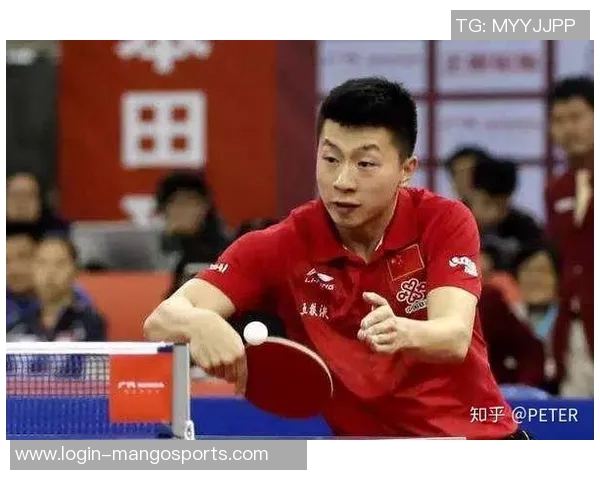 重庆乒乓球队区域防守创新之路探索与实践的深度分析