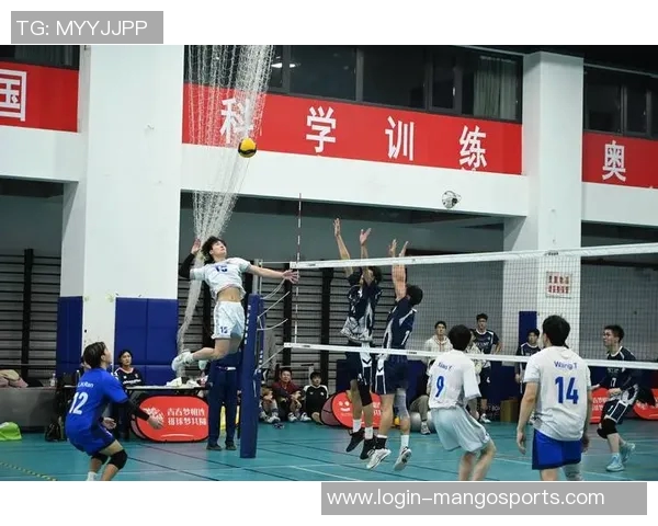 运动最新数据广州排球队逆袭之旅的奋斗与荣耀全记录